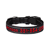 Competitor 2 Collar