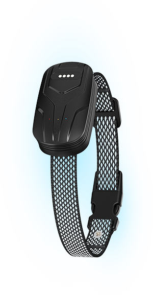FurFence Wireless Collar